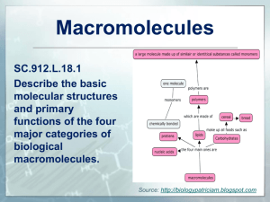 L.18.1 Macromolecules