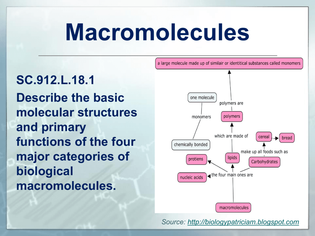 ap biology frq macromolecules