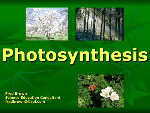 Photosynthesis-FB-MMSI10