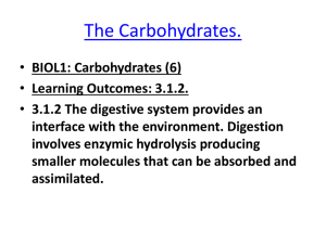 The Carbohydrates