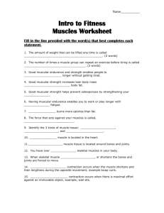 Intro to Fitness Muscles Worksheet Fill in the line provided with the