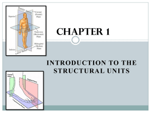 Introduction to Structural Units
