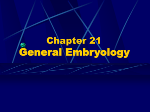 Chapter 21 General Embryology