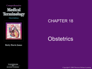 obstetrics - Delmar