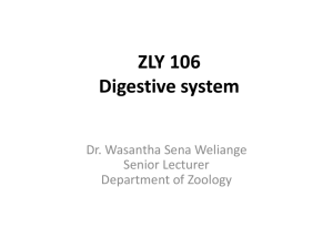 ZLY 106 Mammalian form and function Digestive system