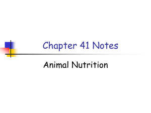 APchapter41notes