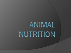 Animal Nutrition - Biology at Mott