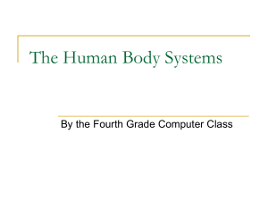The Human Body Systems1