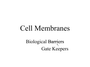 Cell Membranes Chapter 5