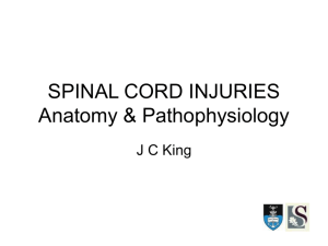 SPINAL CORD INJURIES Anatomy & Pathophysiology