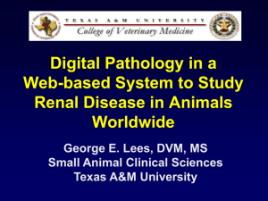 View PPT slides - Digital Pathology Association