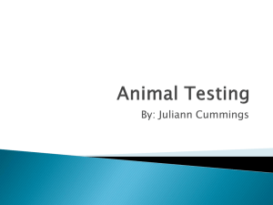 Animal Testing - Juliann Cummings