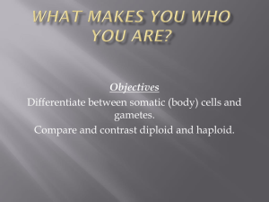 What makes you who you are?