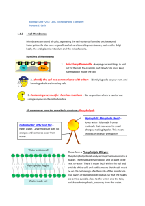 Biology: Unit F211: Cells, Exchange and Transport Module 1: Cells