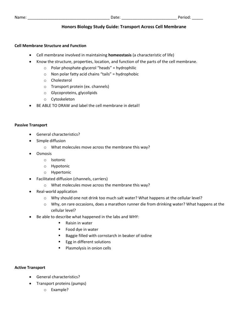 Cell Concept Map Worksheet Answers