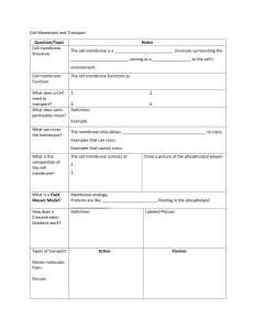 Cell Membrane and Transport notes