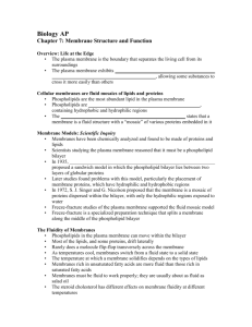 Biology AP Chapter 7: Membrane Structure and Function