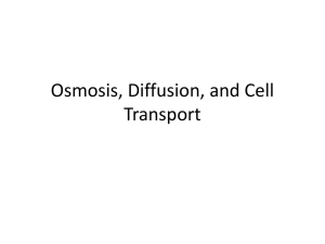 Osmosis, Diffusion, and Cell Transport