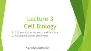 Lecture 1 Cell Biology