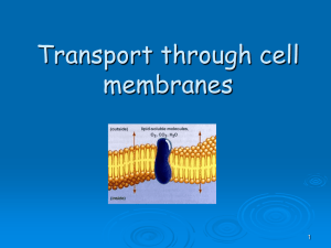 2.4 cell membrane transport