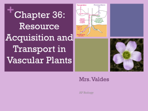 Ch. 36 Resource Acquisition and Transport