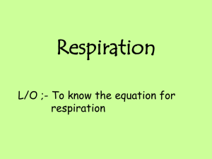 Respiration - Noadswood Science