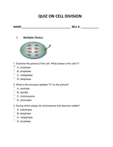 1. Examine the picture of the cell. What phase is the cell in?