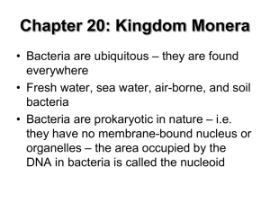 Monera (Bacteria) - leavingcertbiology.net
