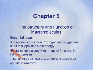 Macromolecules (Chapter 5)