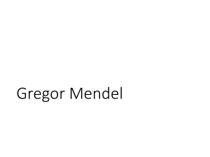 Gregor Mendel - Roderick Biology