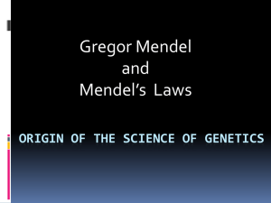 Genetics & Mendel PPT