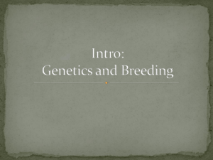 Intro: Genetics and Breeding
