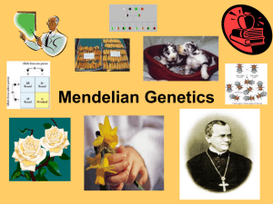 Mendelian Genetics - Libertyville High School