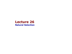 26-NaturalSelection