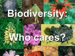 Biodiversity Notes