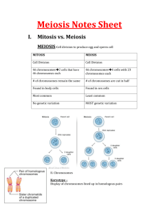 Meiosis Notes Sheet Mitosis vs. Meiosis MEIOSIS