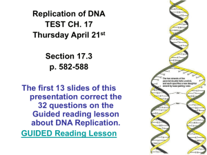 Elongation of the Leading strand in DNA Replication