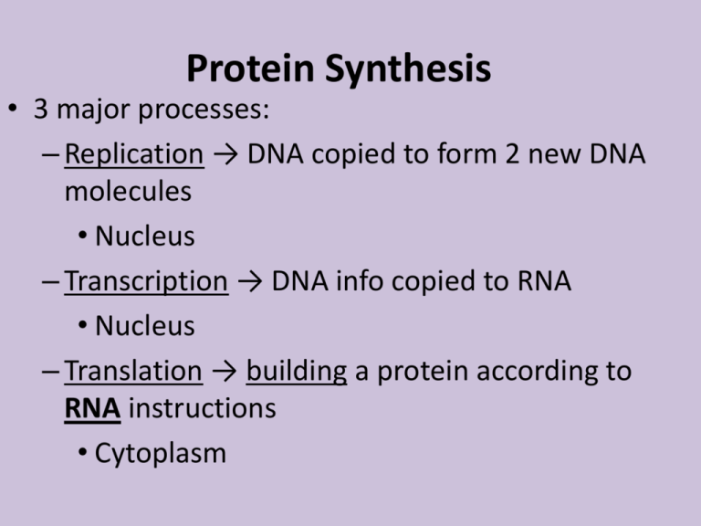 dna-replication-initiation