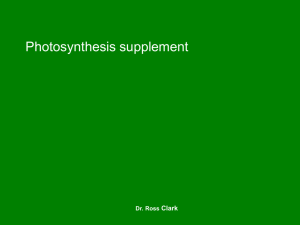 Photosynthesis – food and oxygen
