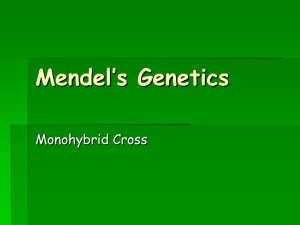 Mendel's Genetics