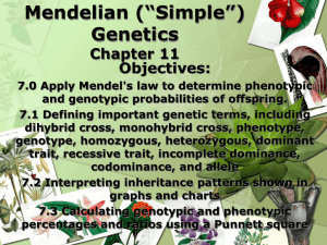 Mendelian (“Simple”) Genetics Chapter 11