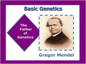 Basic Genetics