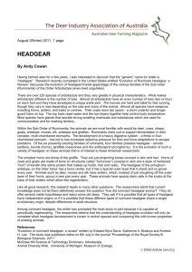 173-Aug-Headgear - Deer Industry Association of Australia