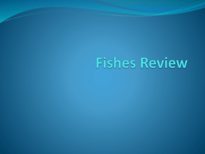 Fishes Review - whsscienceconnections