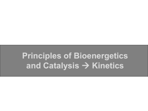 T11 Bioenergetics and catalysis1