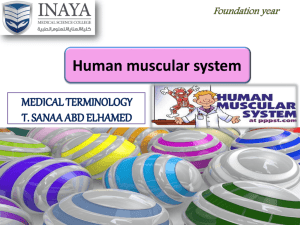 lecture 13 - INAYA Medical College