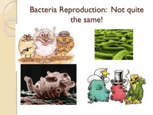 Bacteria Reproduction: Not quite the same!