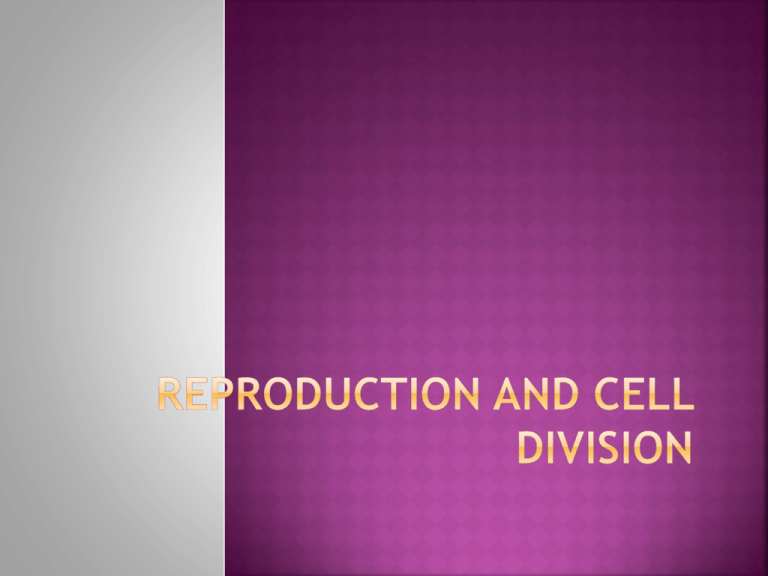 reproduction-and-cell-division