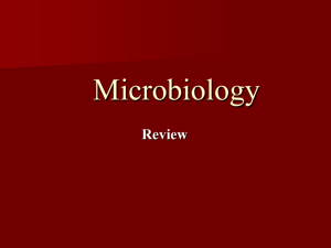 Microbiology - WordPress.com
