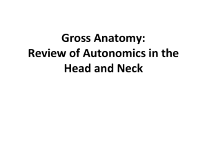 Lecture Autonomics of Head